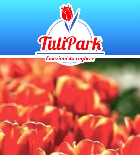 Tulipark 2023